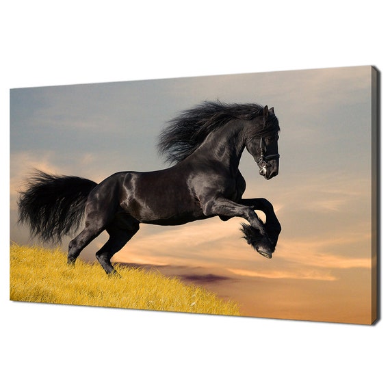 Black Friesian Horse at Sunset, Modern Art Print
