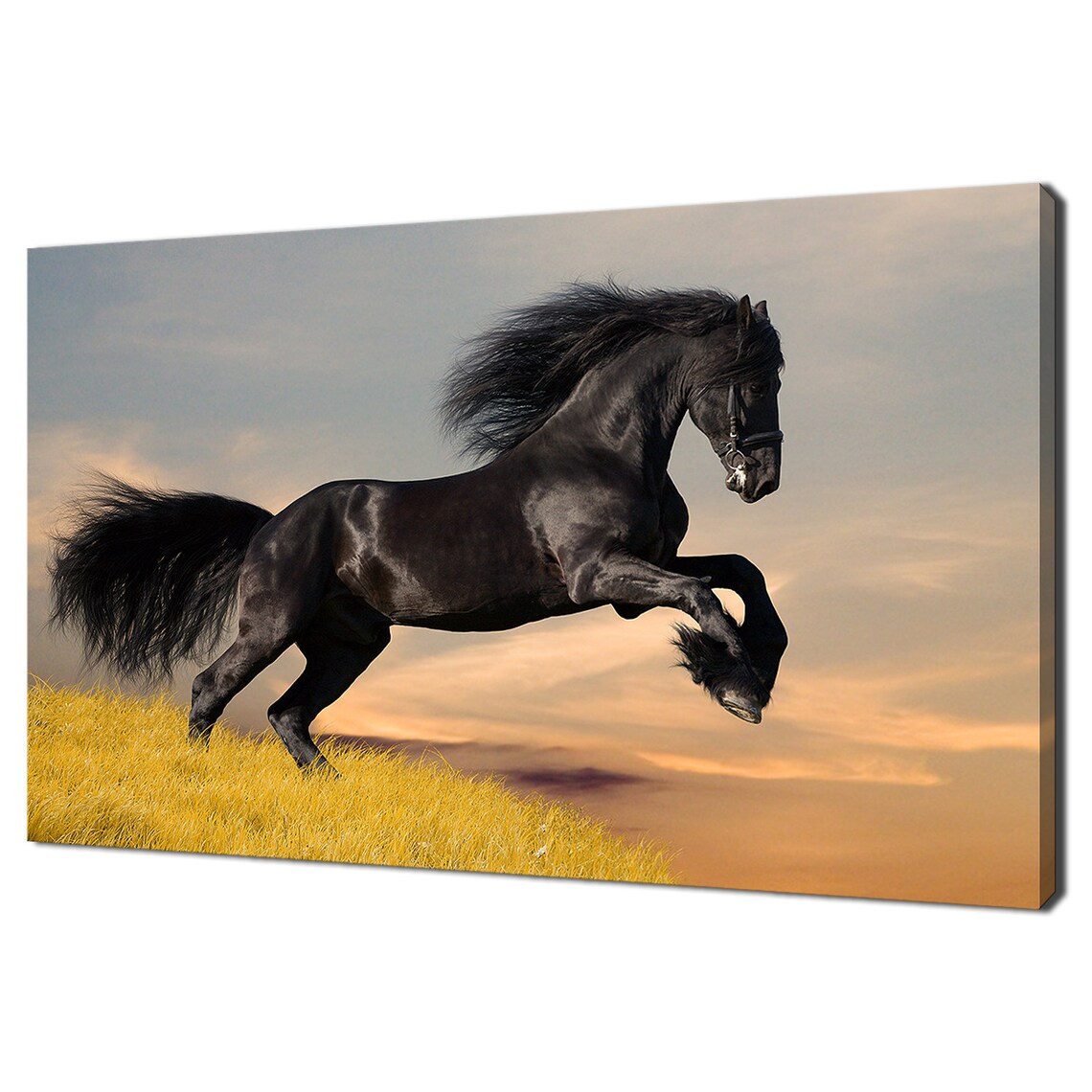 Black Friesian Horse at Sunset, Modern Art Print
