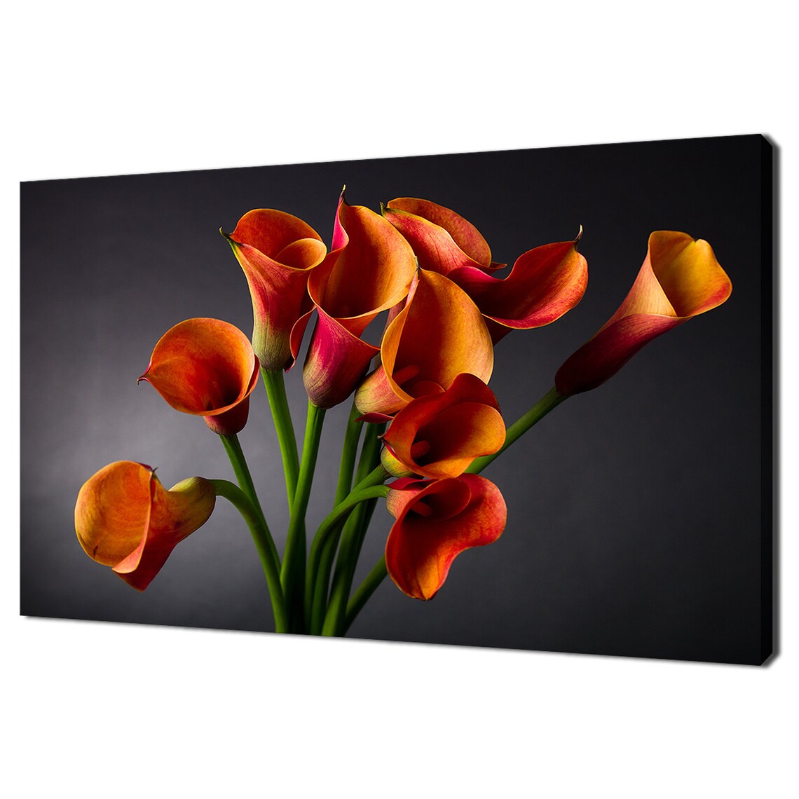 Orange Calla Lily Flowers, Modern Botanical Art Print