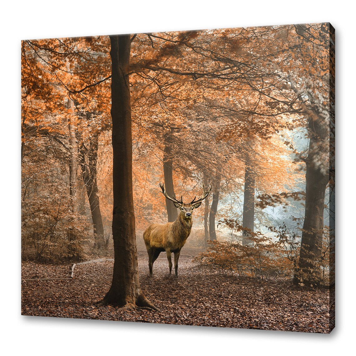 Red Deer Stag In Foggy Autumn Forest, Modern Wall Art Print