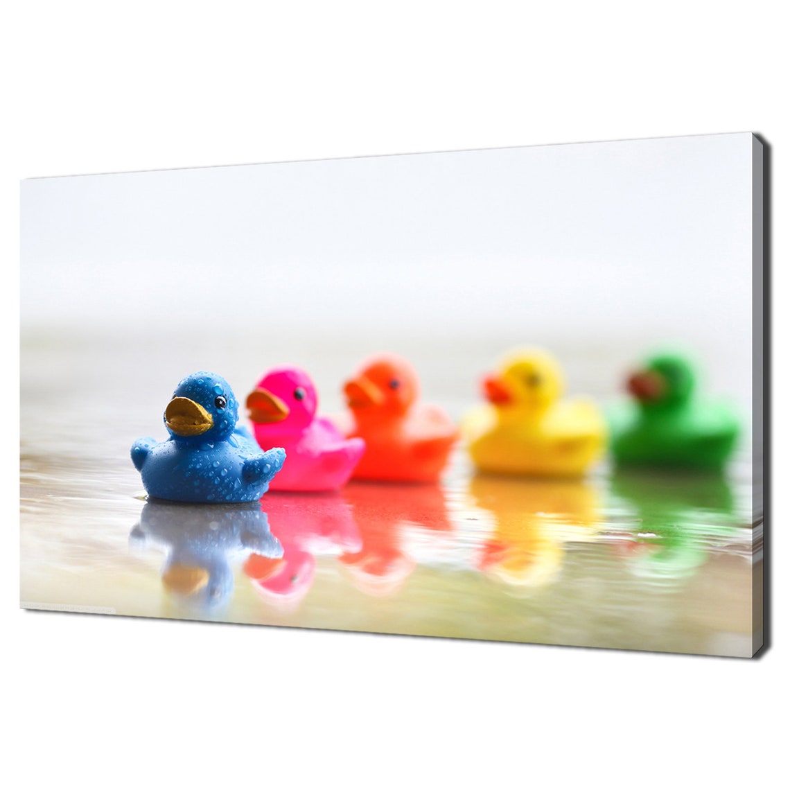 Five Colourful Rubber Ducks Water Row Fun Modern Nursery Art Poster