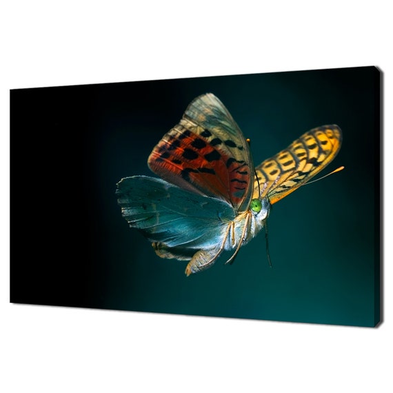 Colourful Flying Butterfly Modern Design Home Decor Print Wall Art Ready To Hang