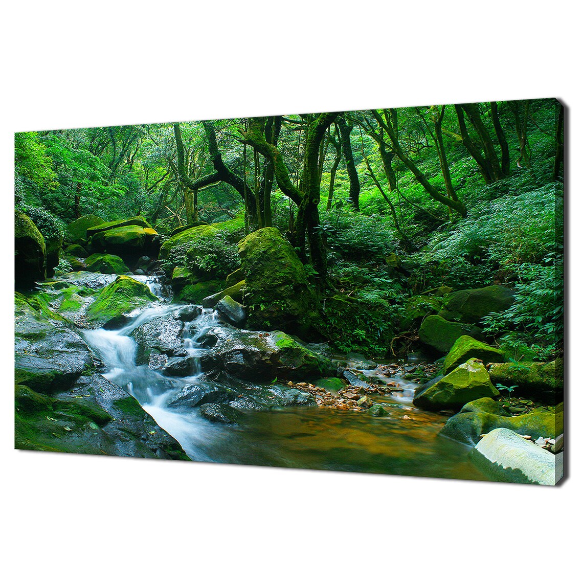 River Cascade In The Green Forest Landscape Modern Design Home Decor Print Wall Art Picture Wall Hanging