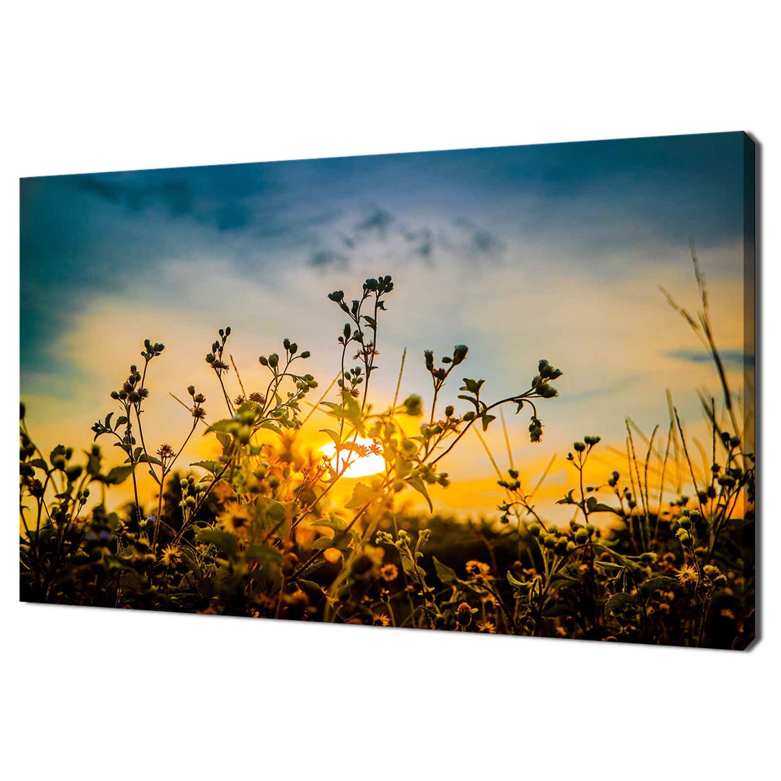 Beautiful Sunset Sky Above The Grass Field Modern Design Home Decor Print Wall Art Picture Wall Hanging