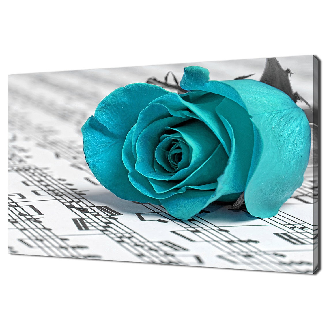 Teal Rose On Sheet Music Notes Photography Music Decor Wall Poster