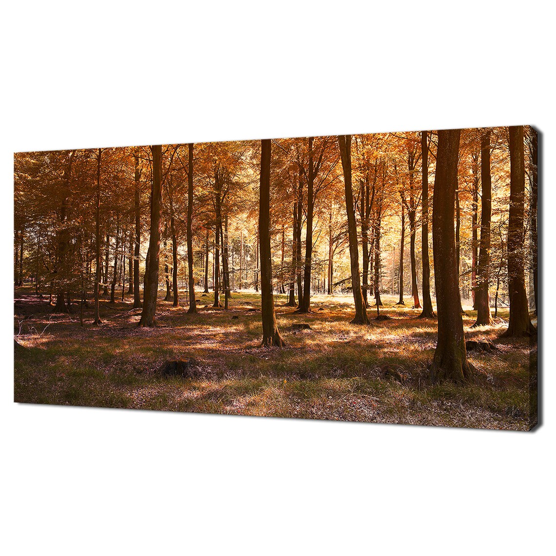Autumn Forest Modern Design Home Decor Art Print