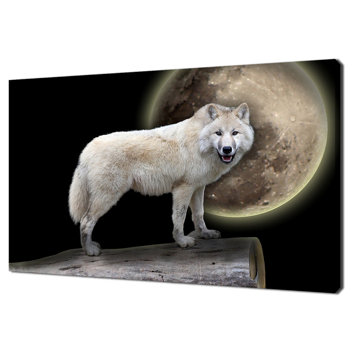 White Wolf Standing Against Full Moon Night Majestic Wilderness Print