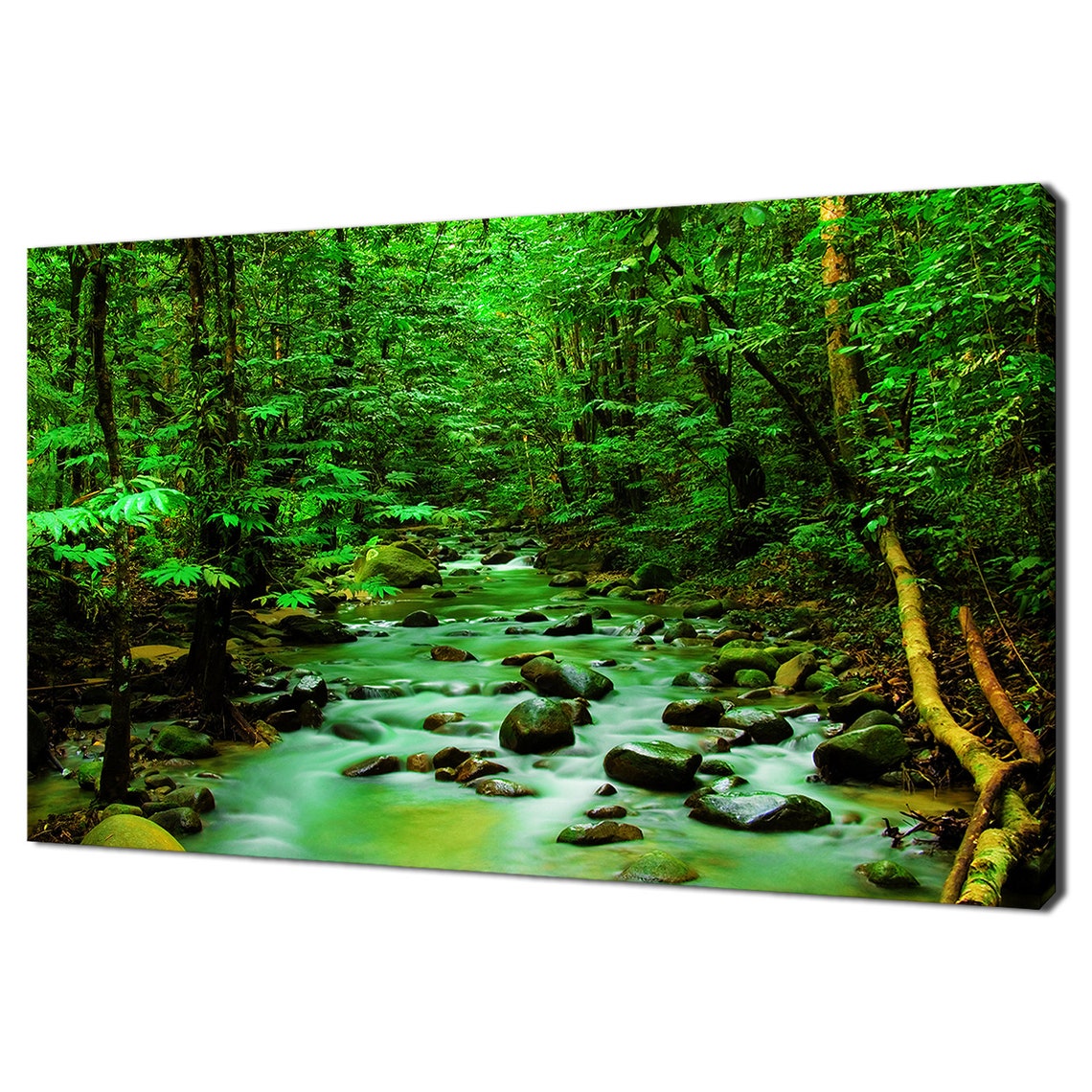 Green Tropical Forest Jungle River Stream Lush Nature Travel Poster
