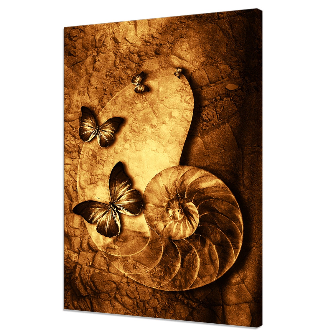 Golden Butterflies With Nautilus Shell Spiral On Stone Texture Art