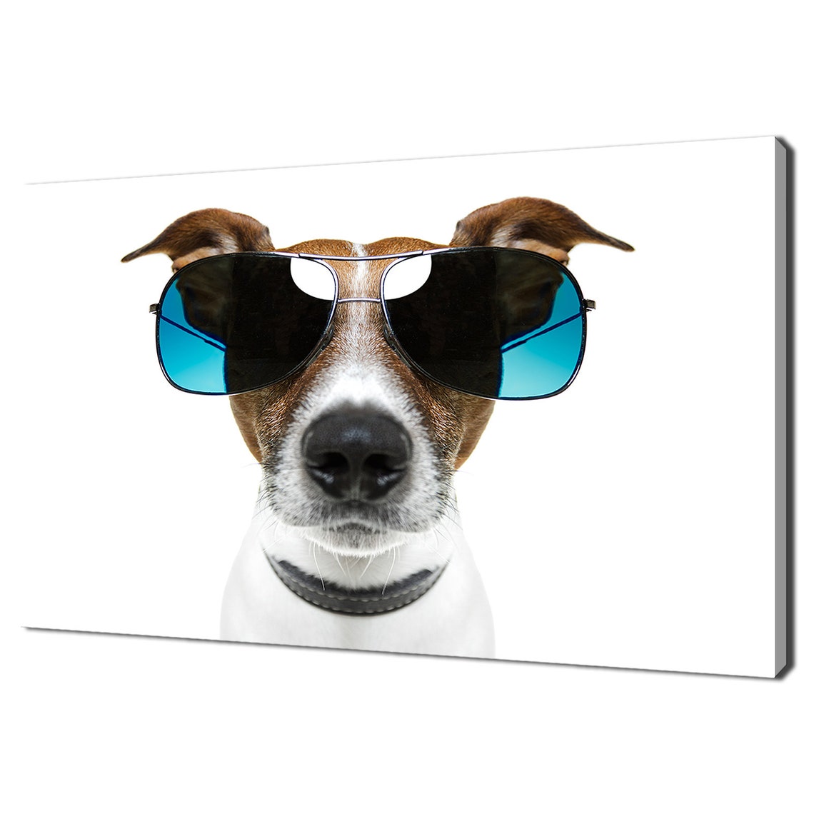 Jack Russell Terrier Wearing Aviator Sunglasses Funny Dog Wall Poster