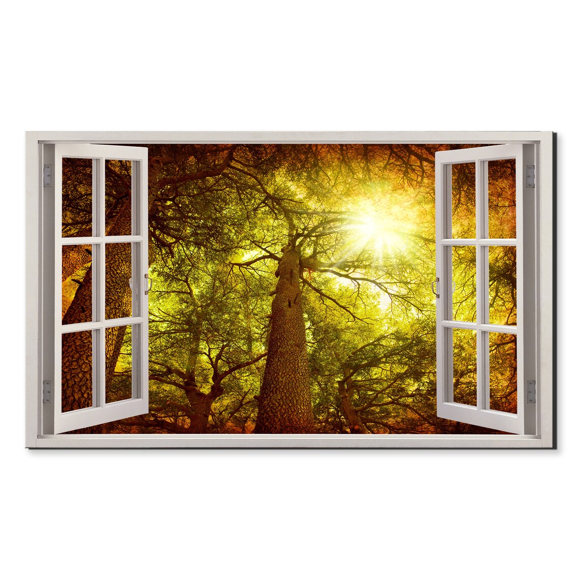 Sunset In Cedar Tree Forest, Modern Design Art Print