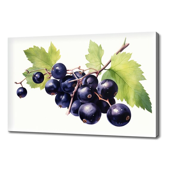Bunch Of Blackcurrants Fruits Watercolour Print Colourful Kitchen Wall Art Fruit Print Modern Kitchen Restaurant Wall Decor