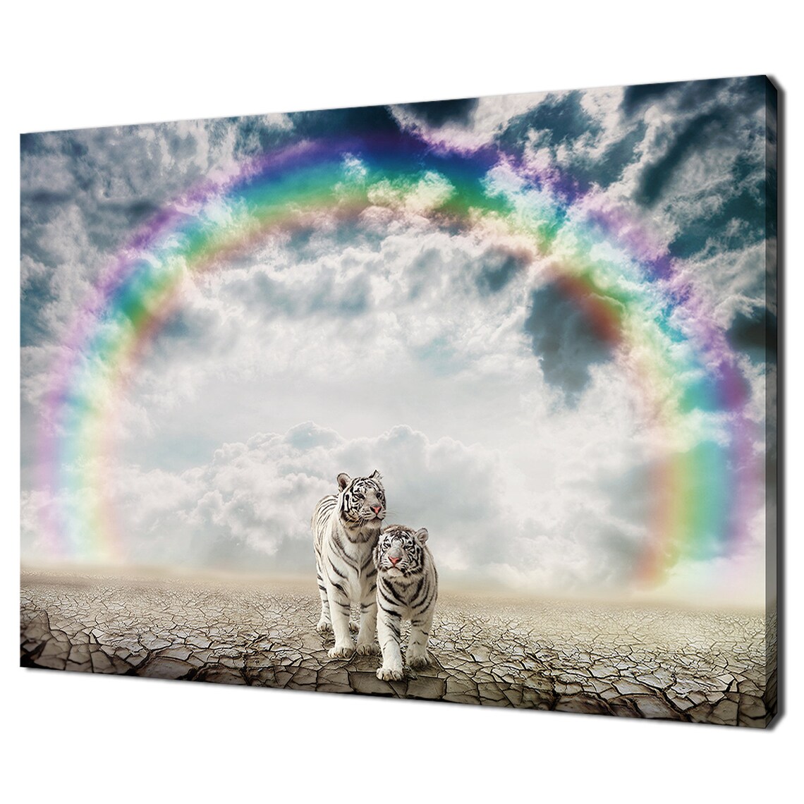 Two White Tigers Under Rainbow Ring Dramatic Cloudy Desert Sky Fantasy Poster