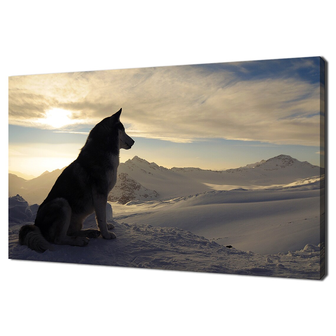 Husky Dog on a Snowy Mountain at Sunset, Modern Art Print