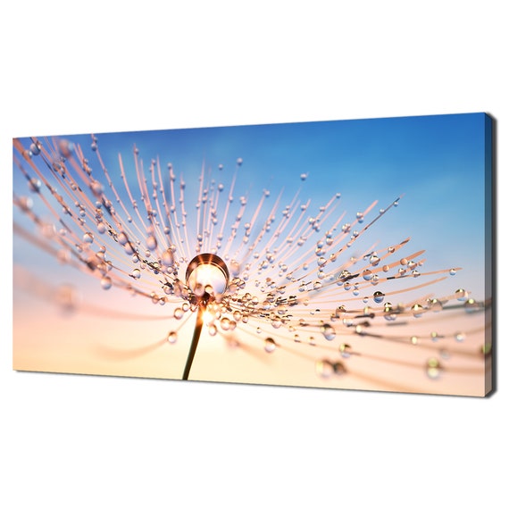 Dandelion Seeds With Dew Water Drops At Sunset Modern Design Print Wall Art Picture