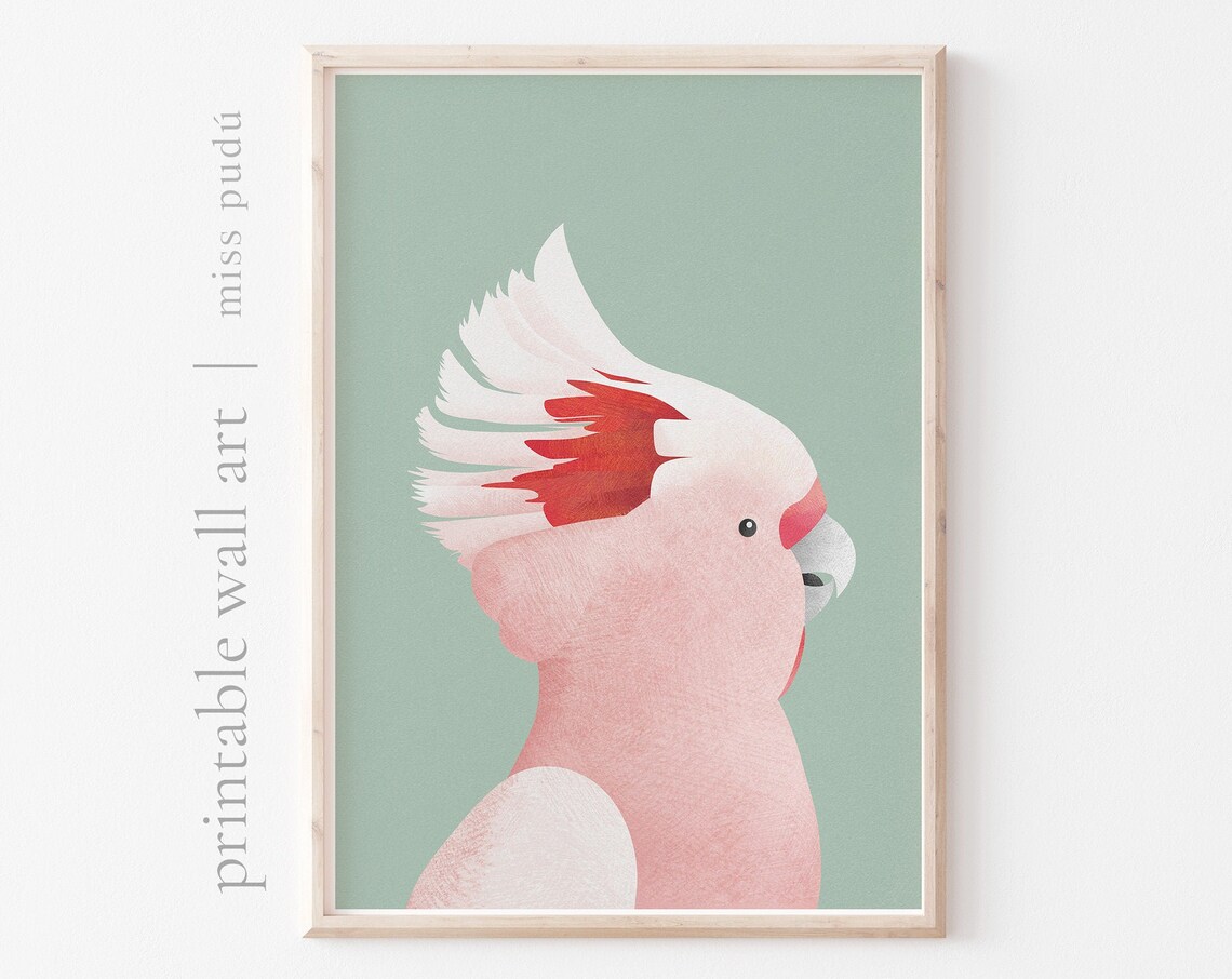 Pink Cockatoo Profile Sage Green Australian Bird Kids Room Print