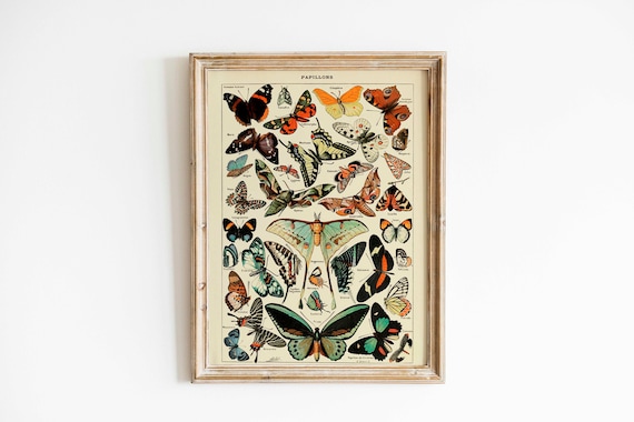 Vintage Butterflies Chart, Art Deco Poster Print
