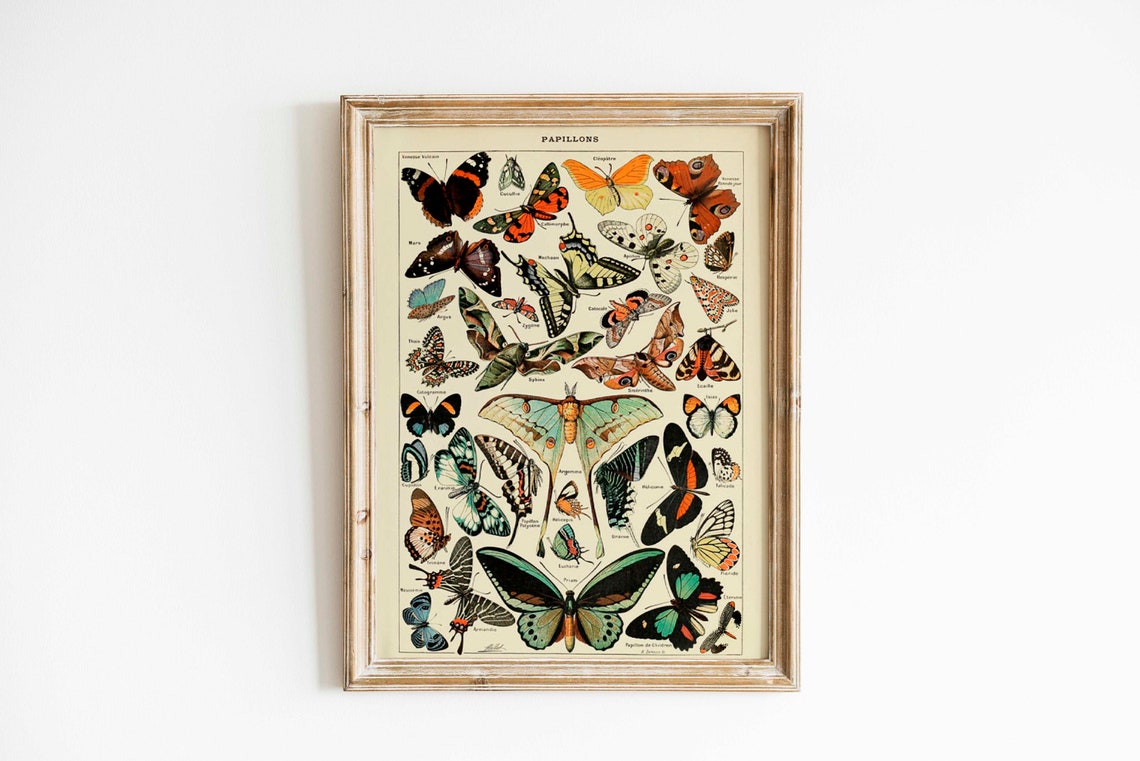 Vintage Butterflies Chart, Art Deco Poster Print