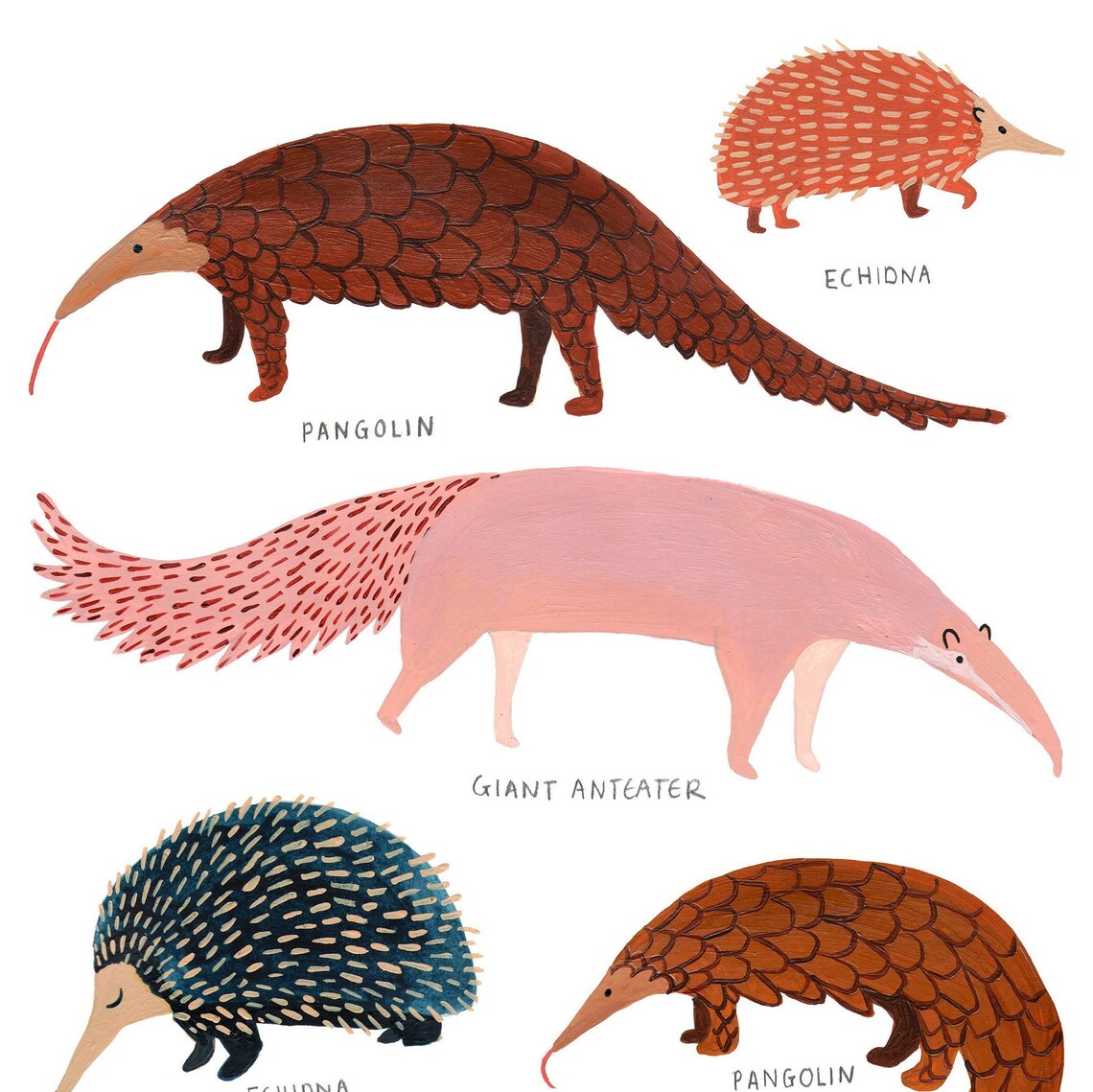 Pangolin, Anteater, and Echidna Nursery Art Print - Image 2