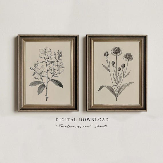 Vintage Flower Gallery Wall Art Set Botanical Floral Drawings Farmhouse Nature Sketch