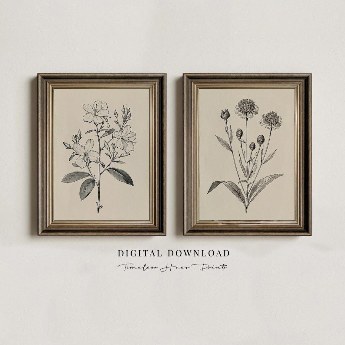 Vintage Flower Gallery Wall Art Set Botanical Floral Drawings Farmhouse Nature Sketch