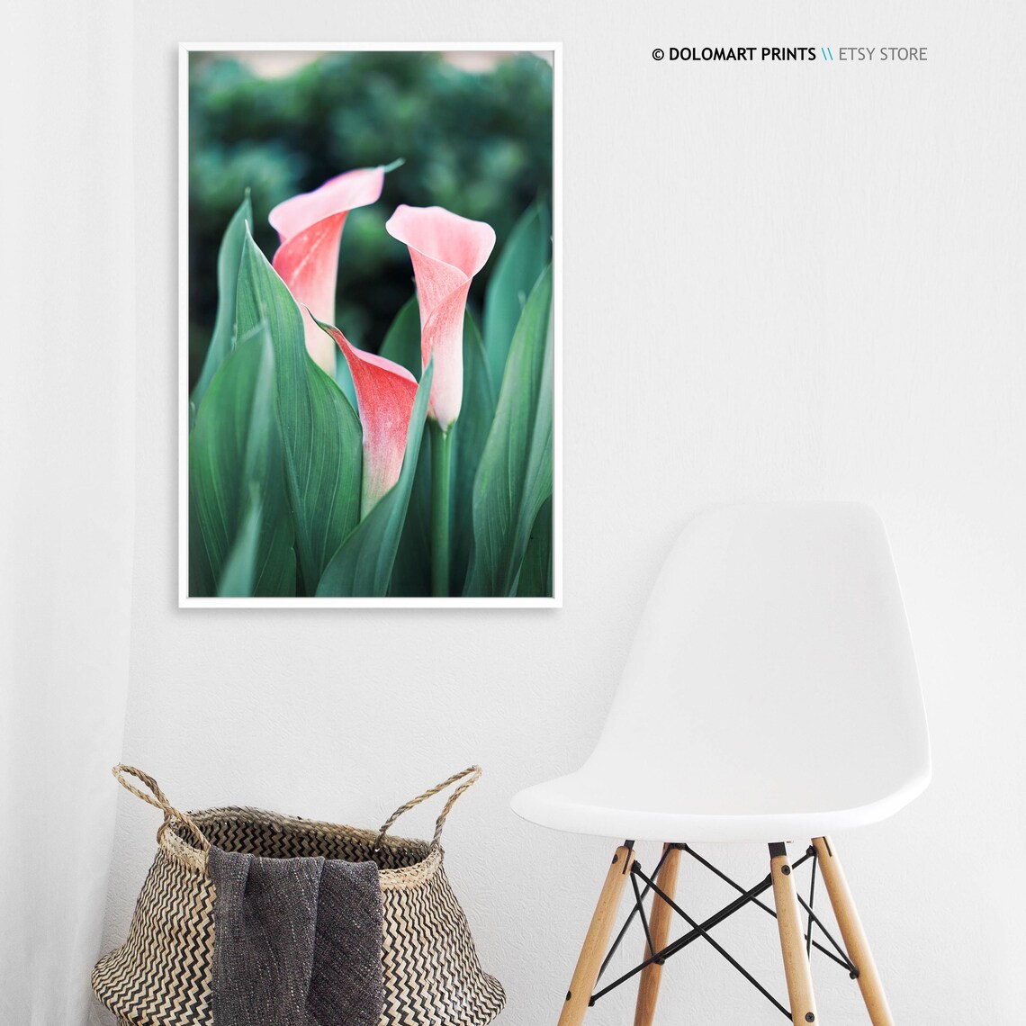 Pink Calla Lilies Among Green Leaves Floral Photography Poster - Image 3