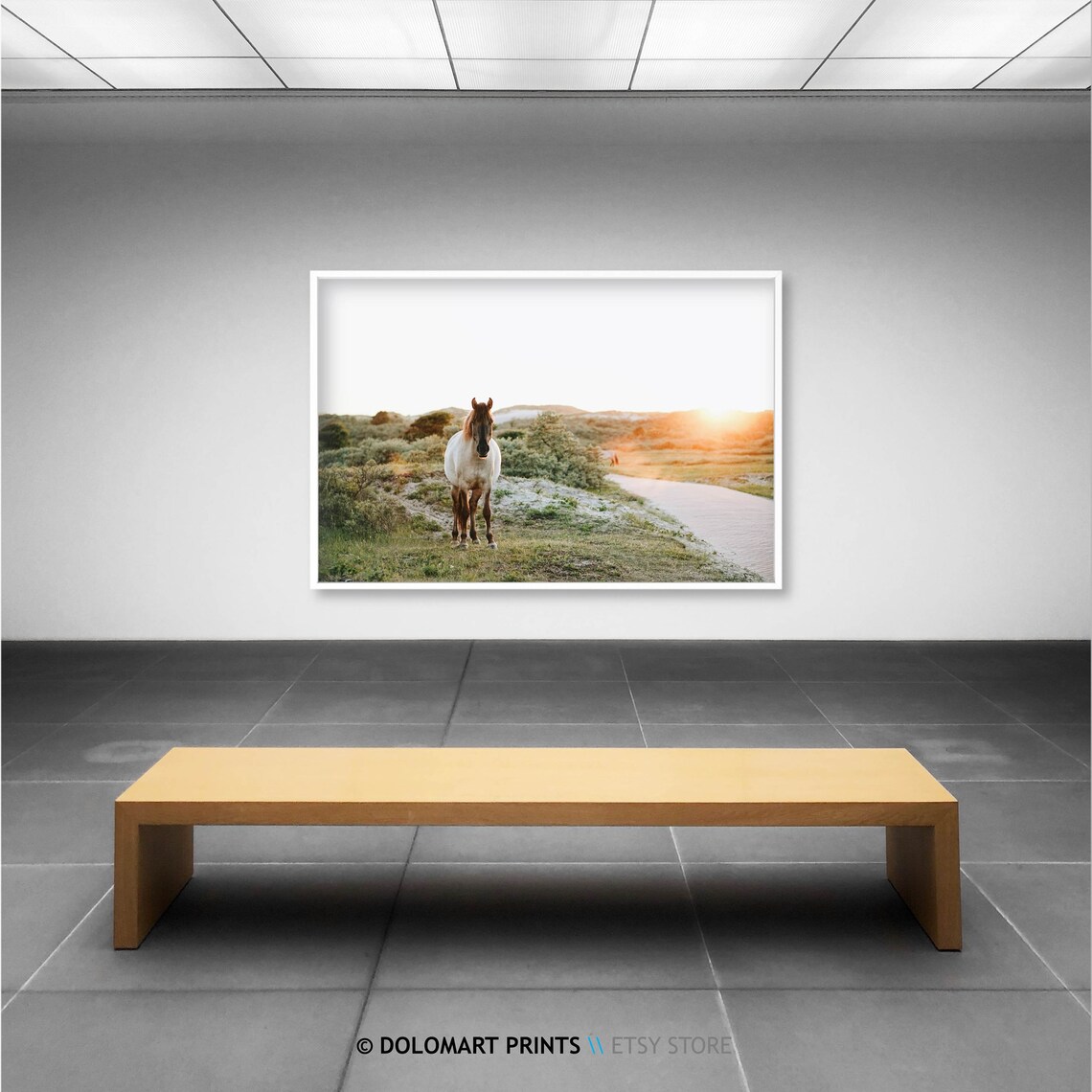 Wild Horse Print, Farmhouse Wall Art Photo - Image 2