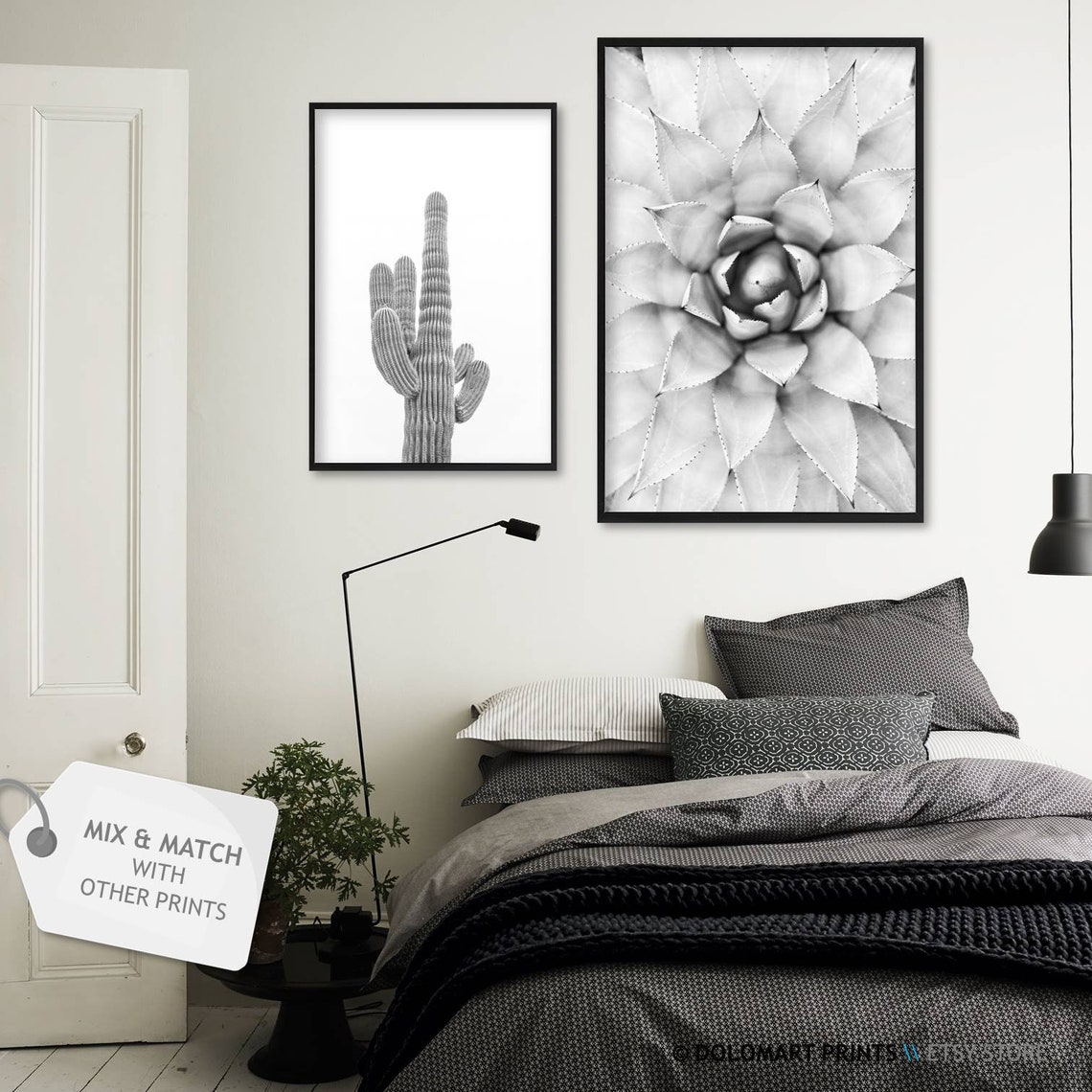 Agave Succulent Rosette Black and White Botanical Photography Poster - Image 2
