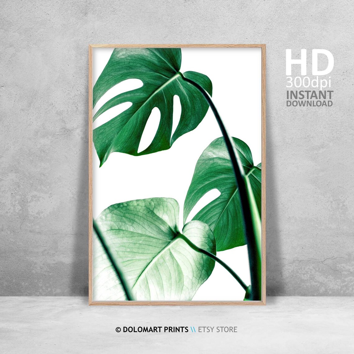 Green Monstera Leaves Close Up Tropical Botanical Photography Poster - Image 4