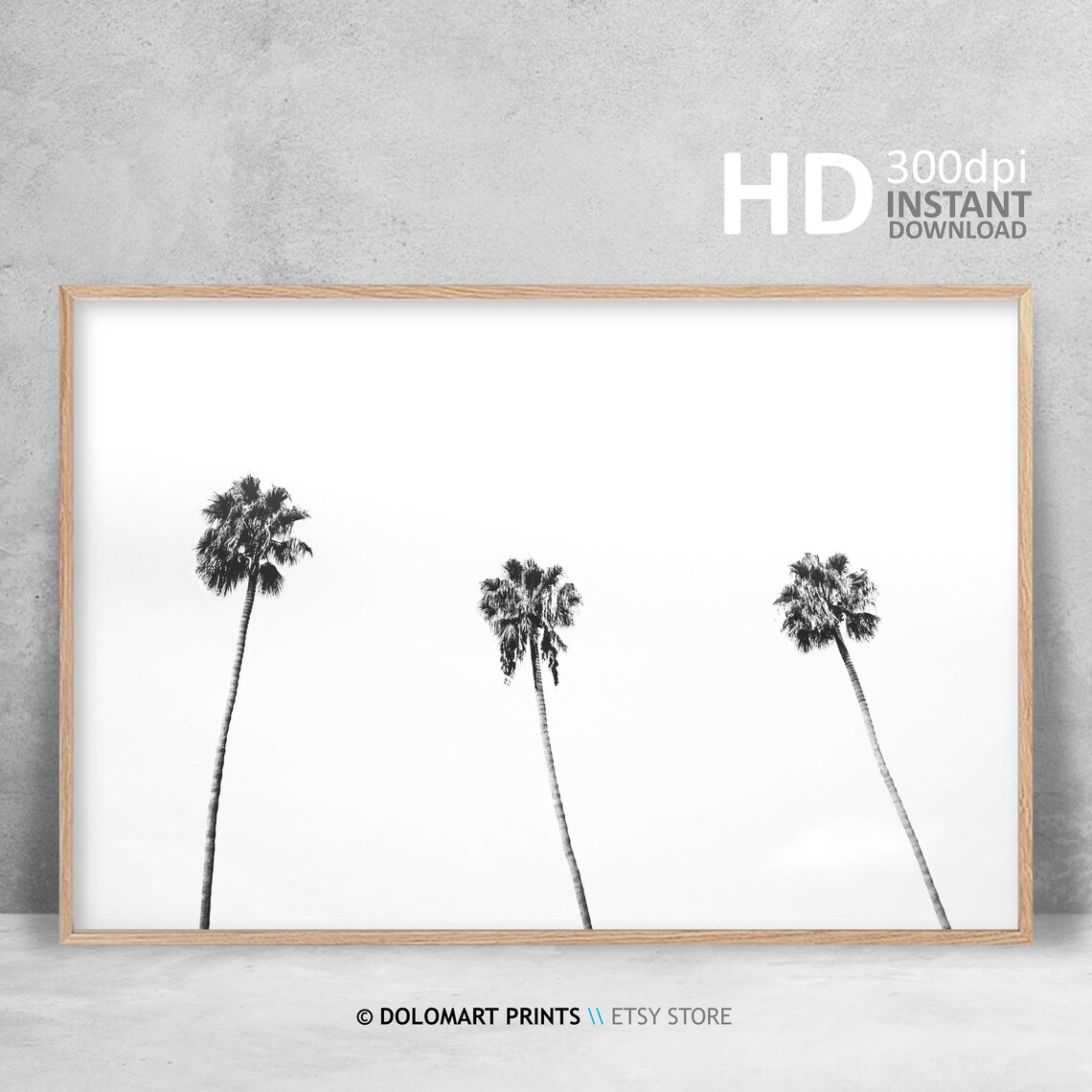 Palm Tree Print Tropical Wall Art Decor Black And White Palm Tree Photography Large Poster Beach Plant Decor - Image 4