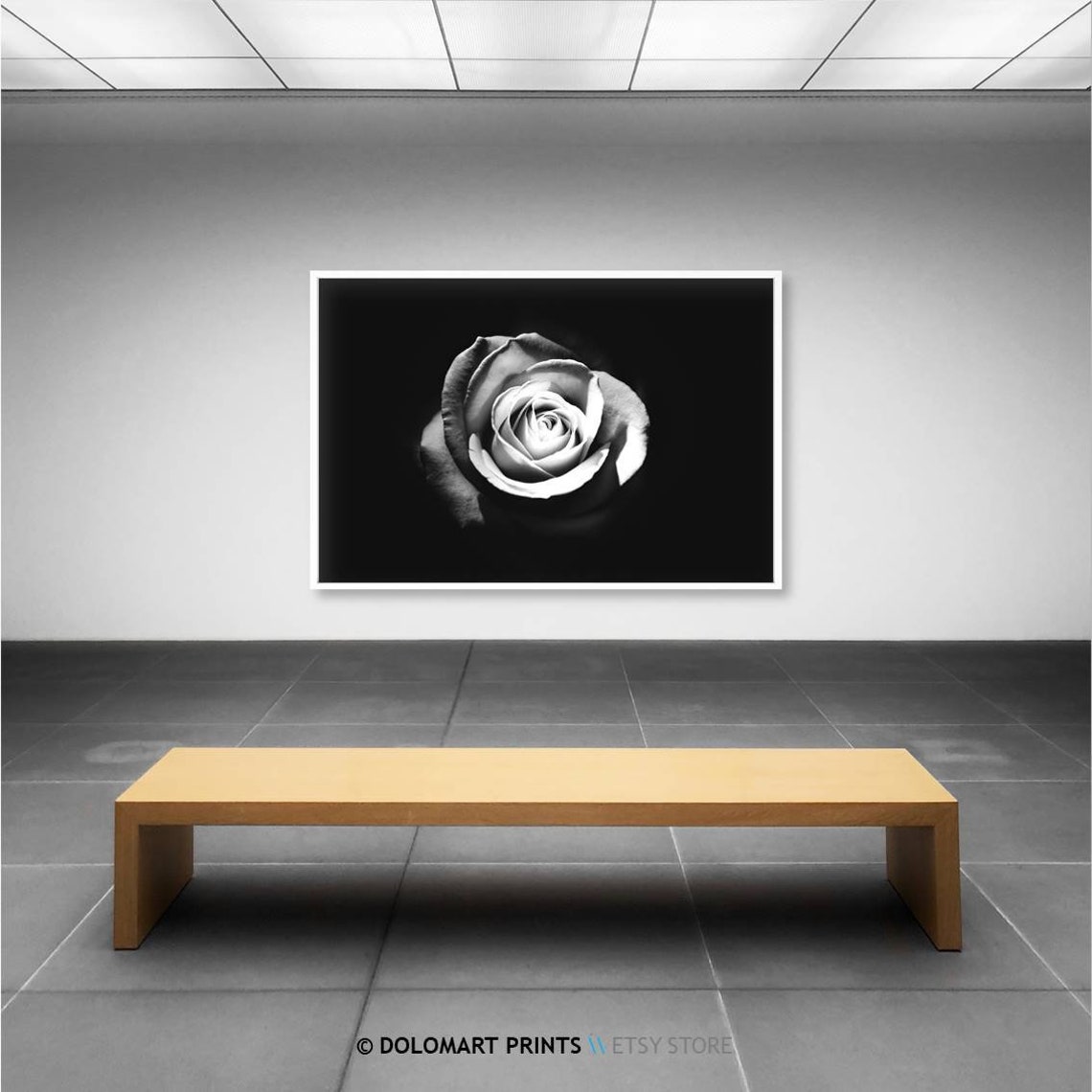 Black And White Rose Flower Close Up Dramatic Botanical Poster - Image 2