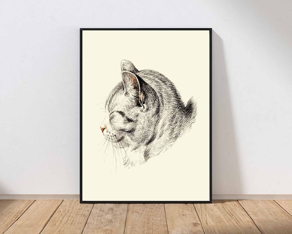 Sleeping Grey Cat Pencil Sketch Vintage Animal Portrait Art Print