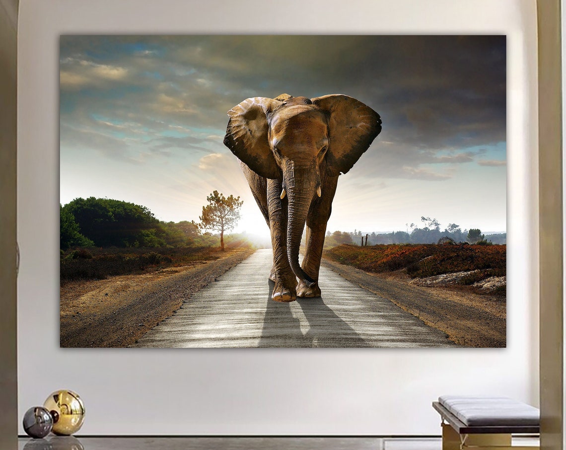 Elephant Walking Toward Viewer Road Sunset Wildlife Photo Poster