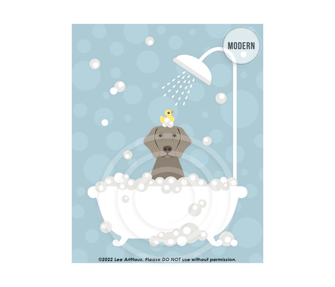 Weimaraner Bubble Bath Shower Rubber Ducky Modern Bathroom Dog Poster
