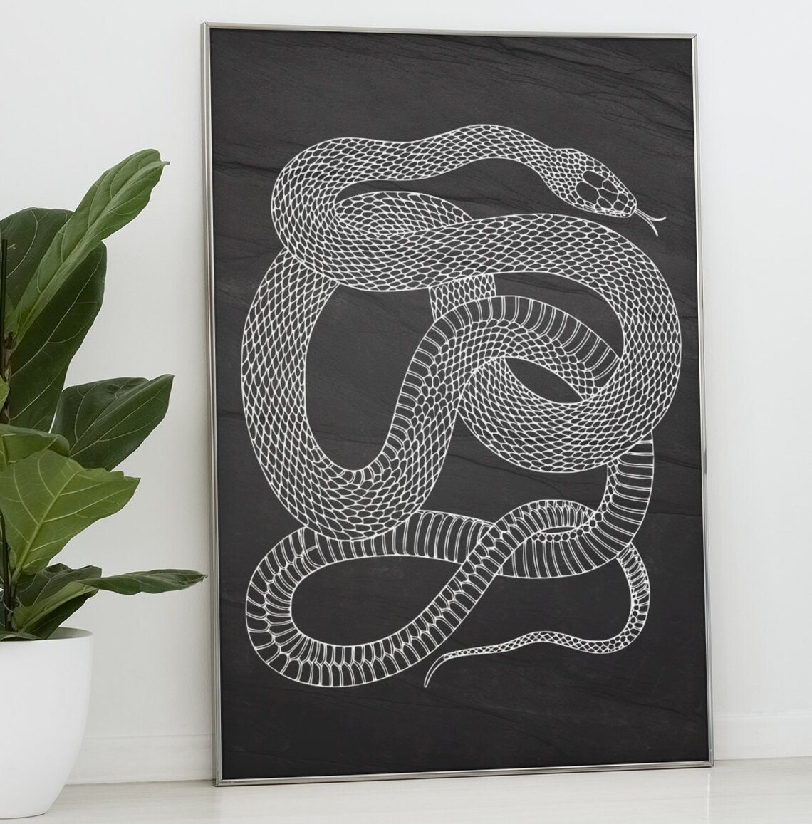 Black And White Snake, Minimalist Monochrome Poster