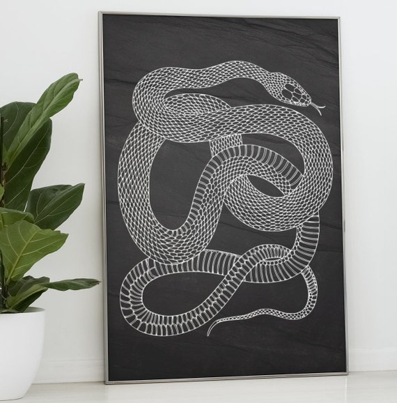 Black And White Snake, Minimalist Monochrome Poster