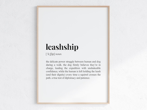 Leashship Definition Print Funny Gift For Dog Parent Lover Sarcastic Dictionary Poster
