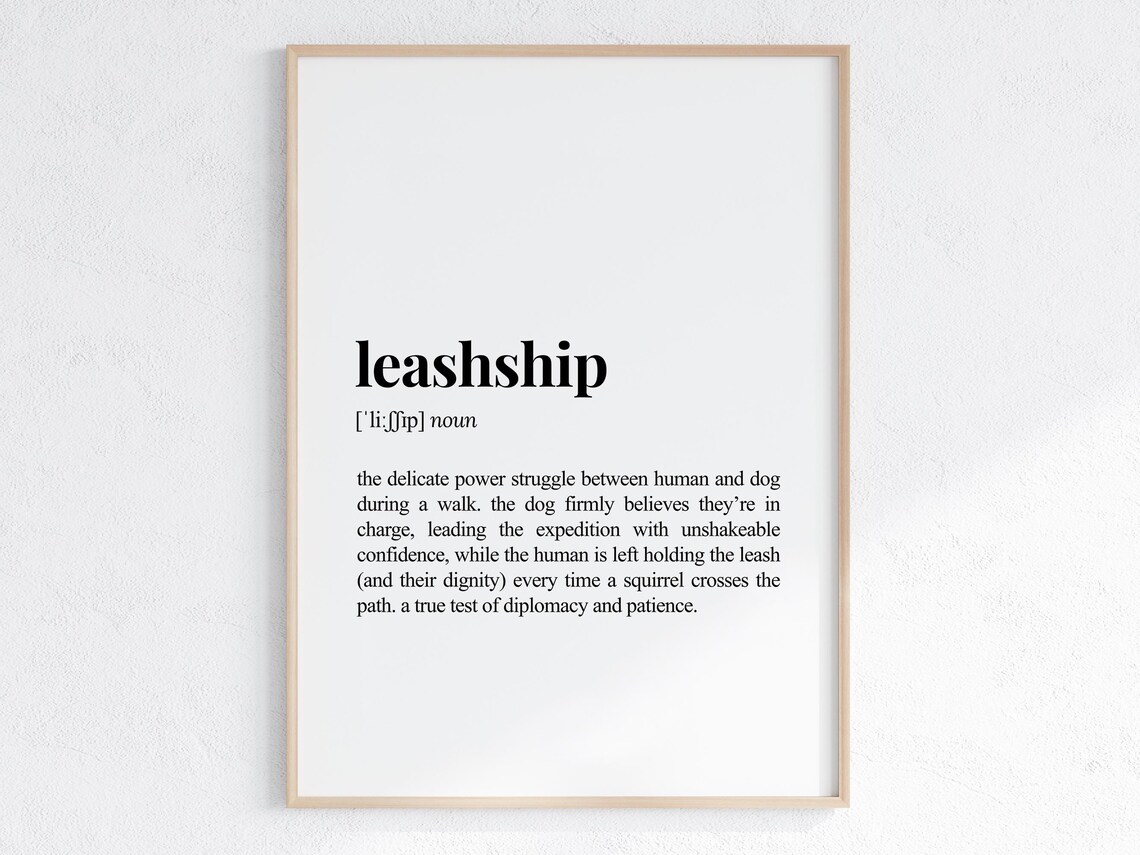 Leashship Definition Print Funny Gift For Dog Parent Lover Sarcastic Dictionary Poster