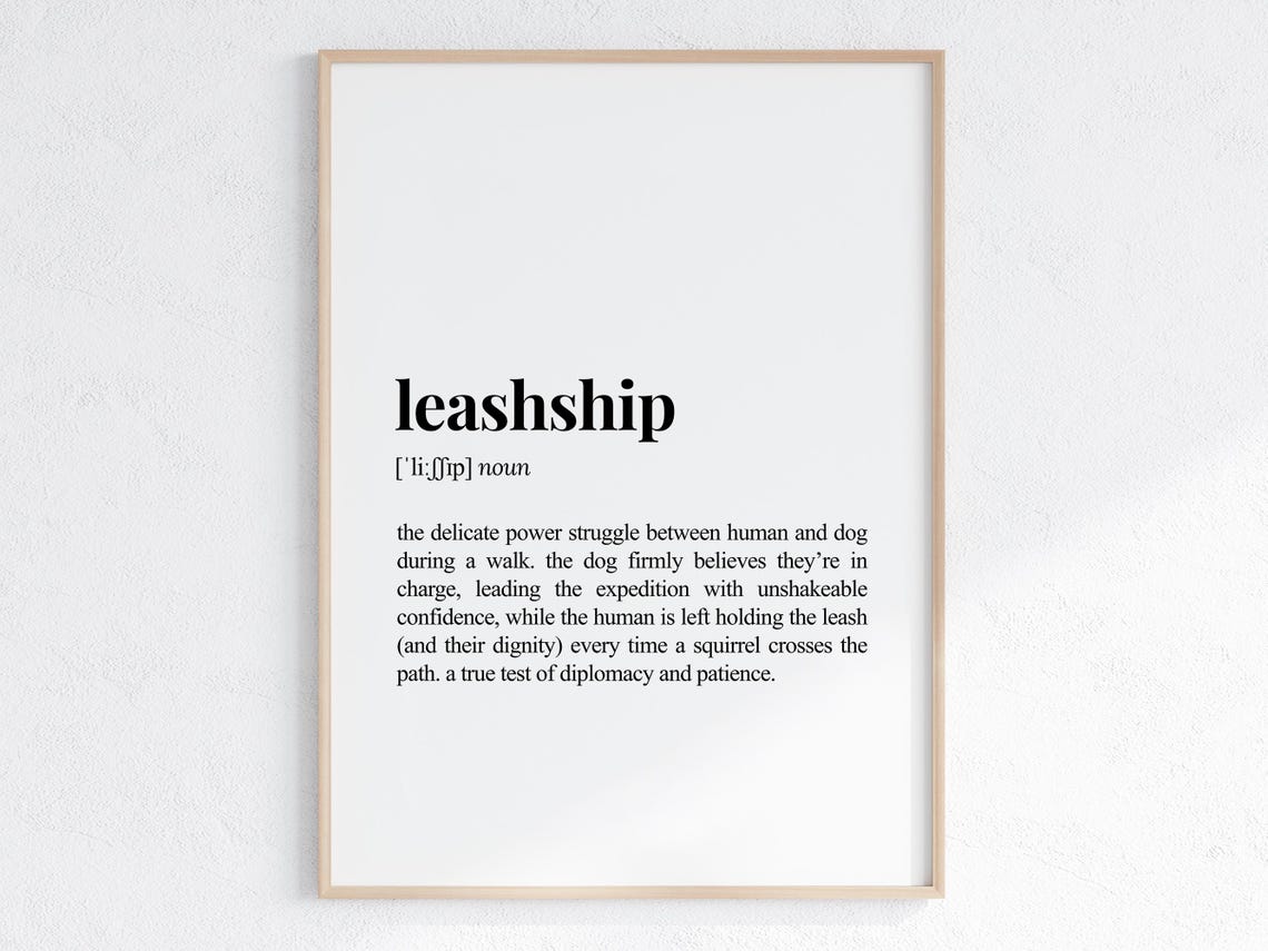 Leashship Funny Dog Walk Definition Typography Black White Poster