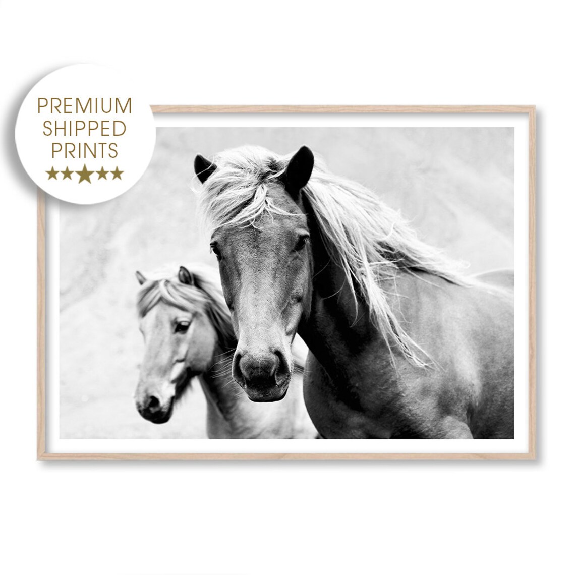 Black And White Horses Pair Portrait Wind Blown Mane Fine Art Print