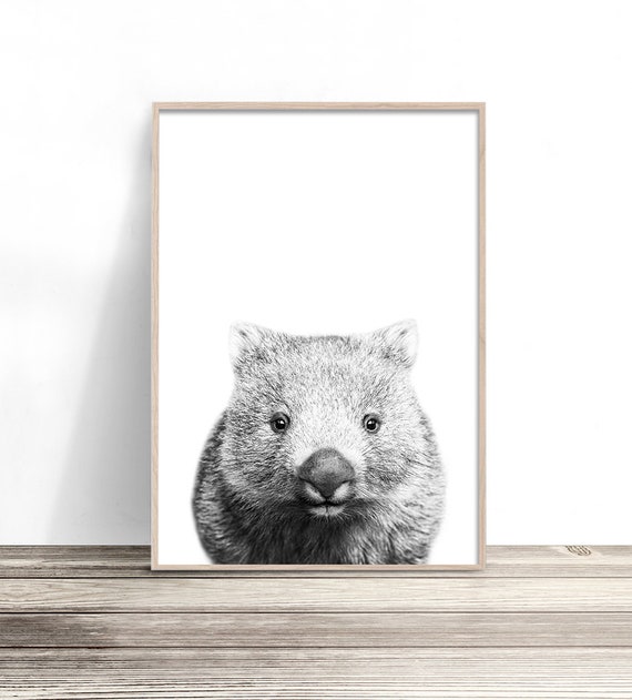 Wombat Modern Australiana Nursery Art Print