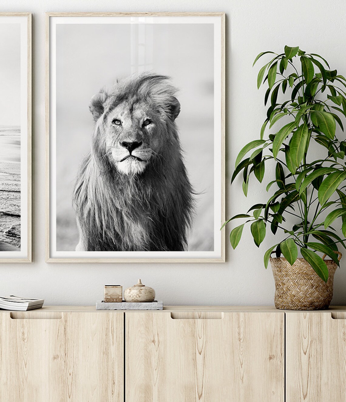 Lion Portrait Black And White Direct Gaze Wildlife Safari Art Poster - Image 2