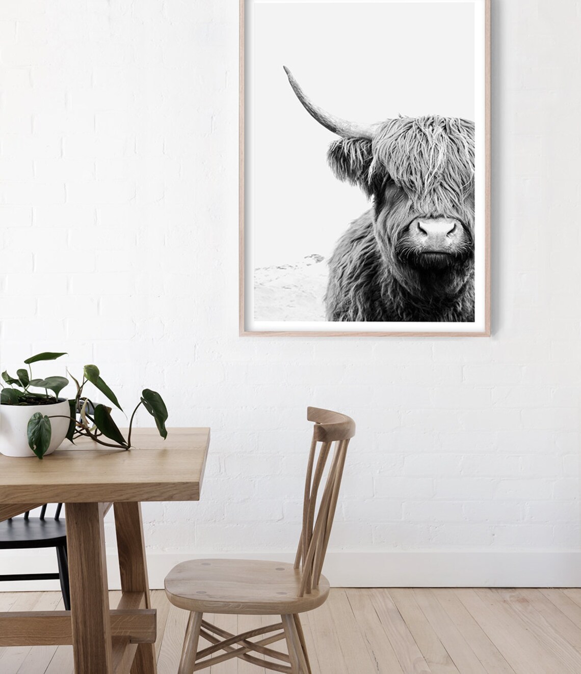 Highland Cow Black and White Art Print, Living Room - Image 2
