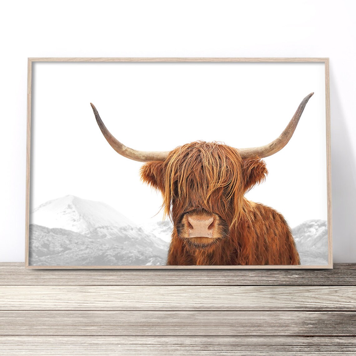 Highland Cow Print, Scottish Modern Farmhouse Art