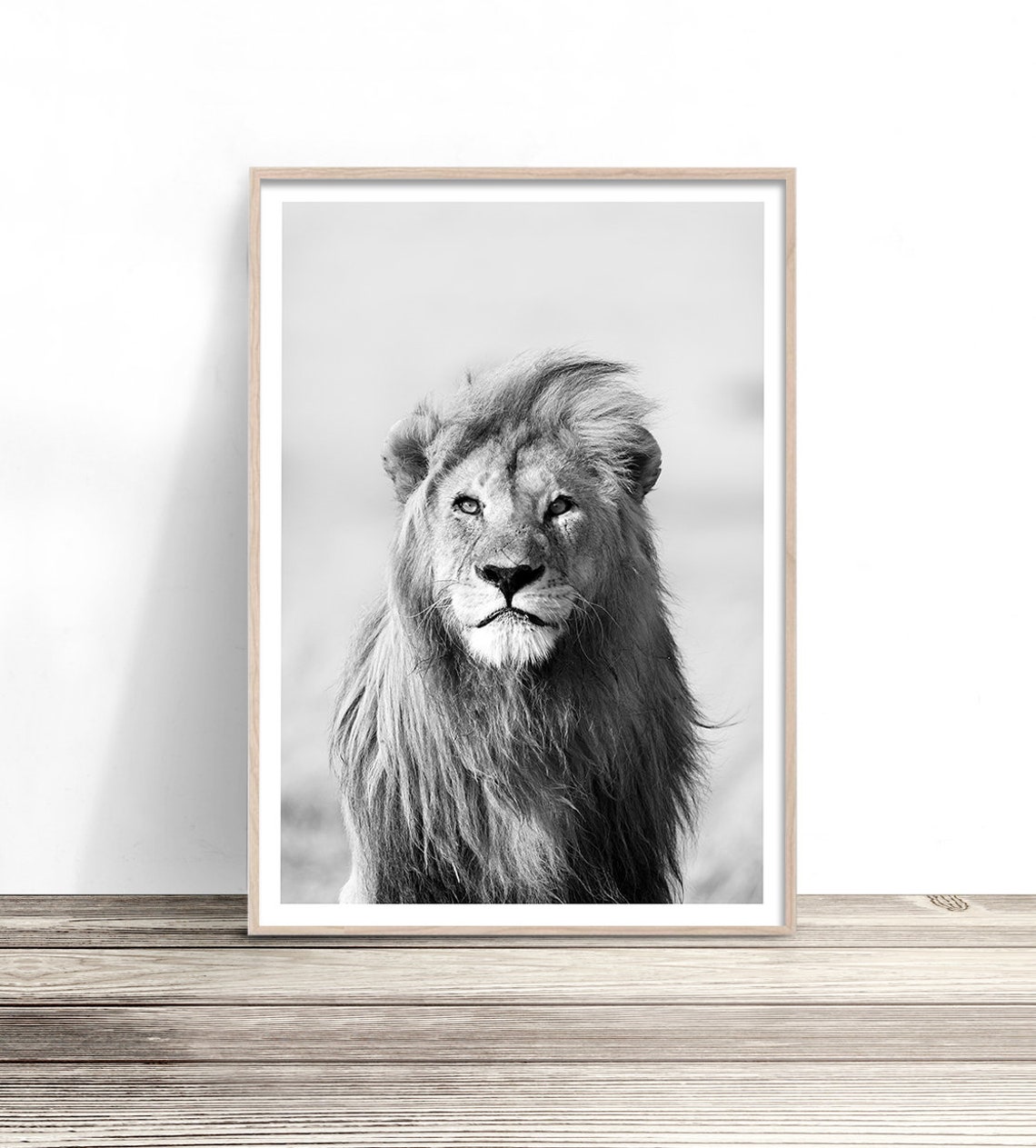 Black And White Lion Print African Animal Photography Lion Photography Print Animal Wall Art Lion Art Print