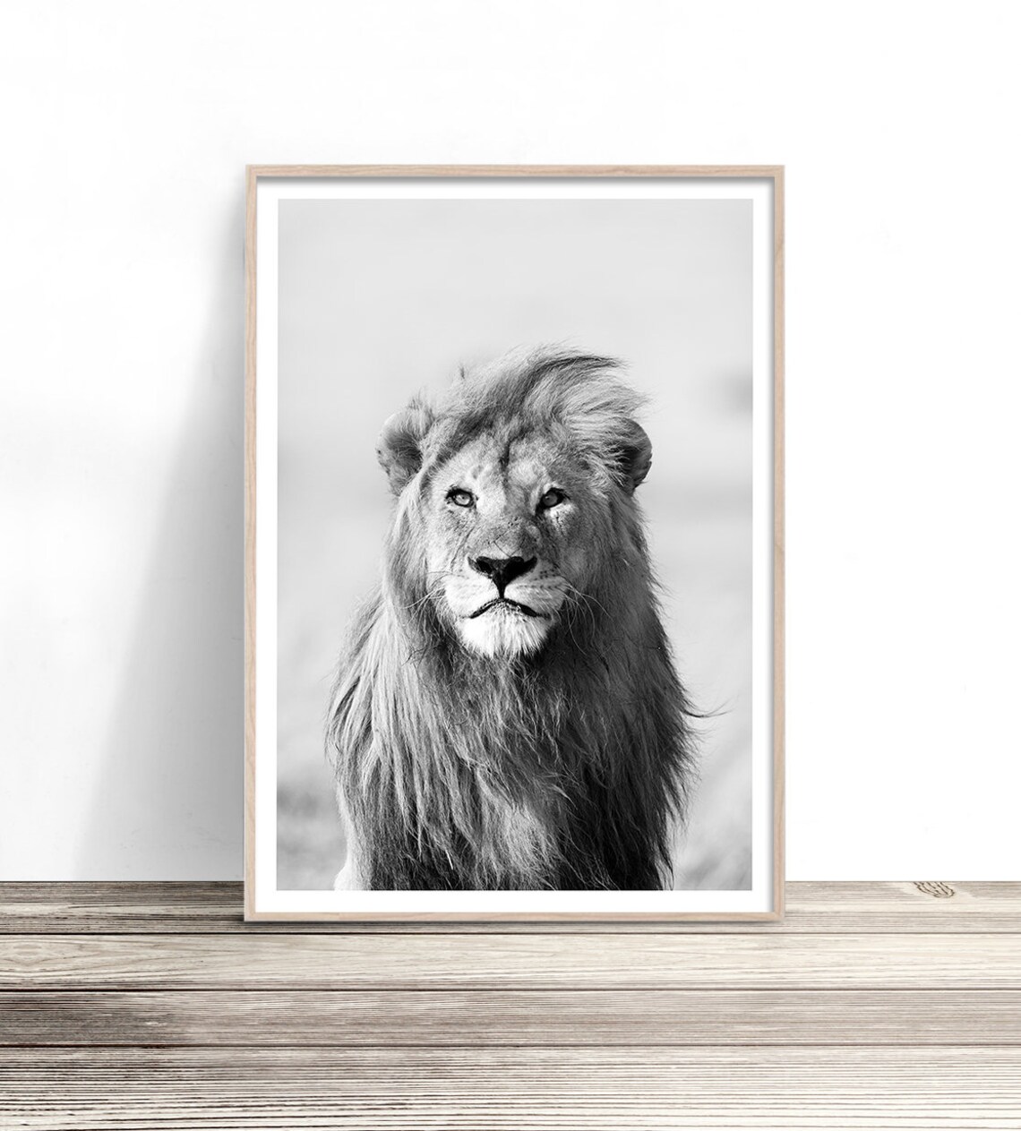 Lion Portrait Black And White Direct Gaze Wildlife Safari Art Poster