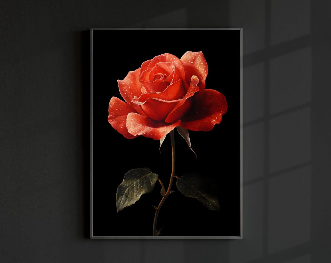 Single Red Rose With Dew Drops Black Background Minimal Floral Print