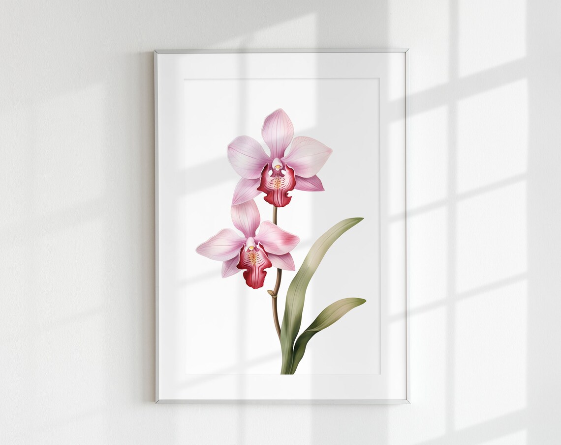 Orchid Botanical Vintage Poster, Floral Art Print