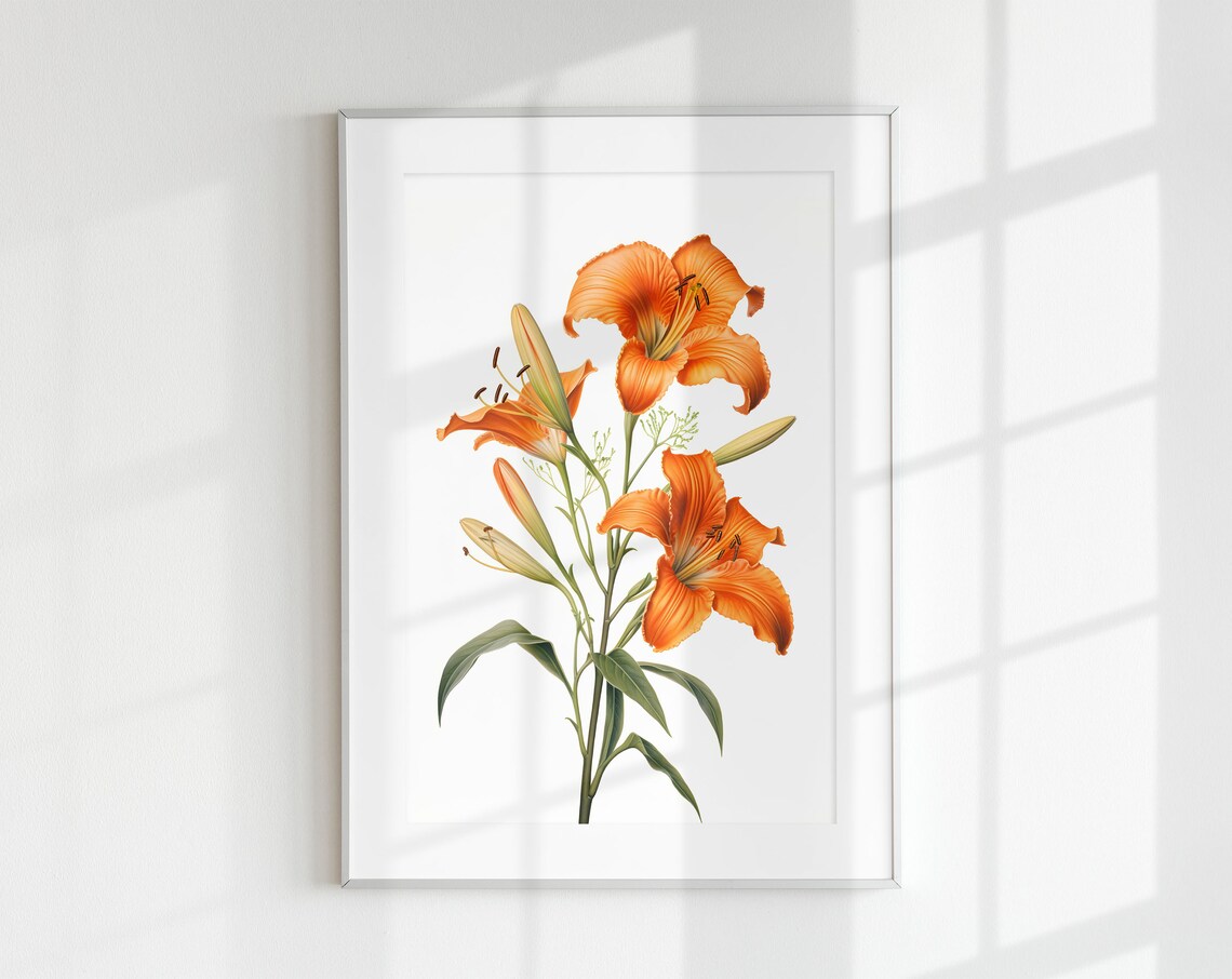 Orange Daylily Floral Botanical Wall Art Print