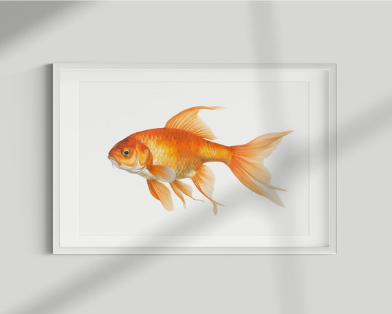 Vintage Goldfish Fish Print, Sea Life Wall Art